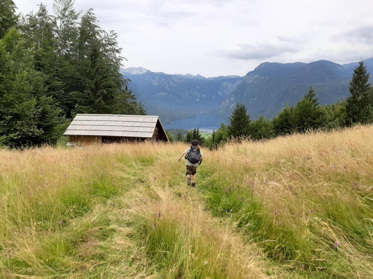 Chalet Pr Dobravc Bohinj Eksteriør billede