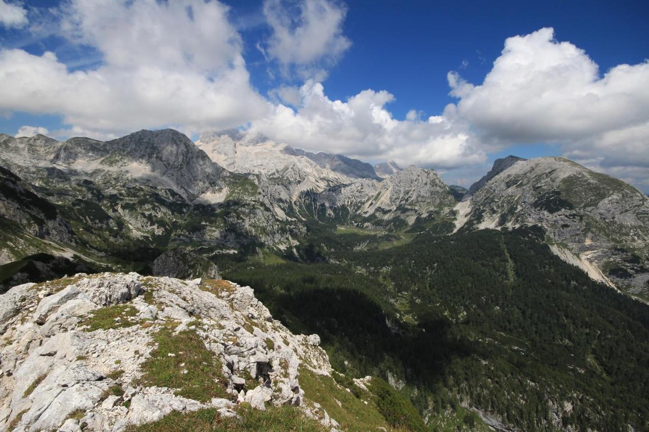 Chalet Pr Dobravc Bohinj Eksteriør billede