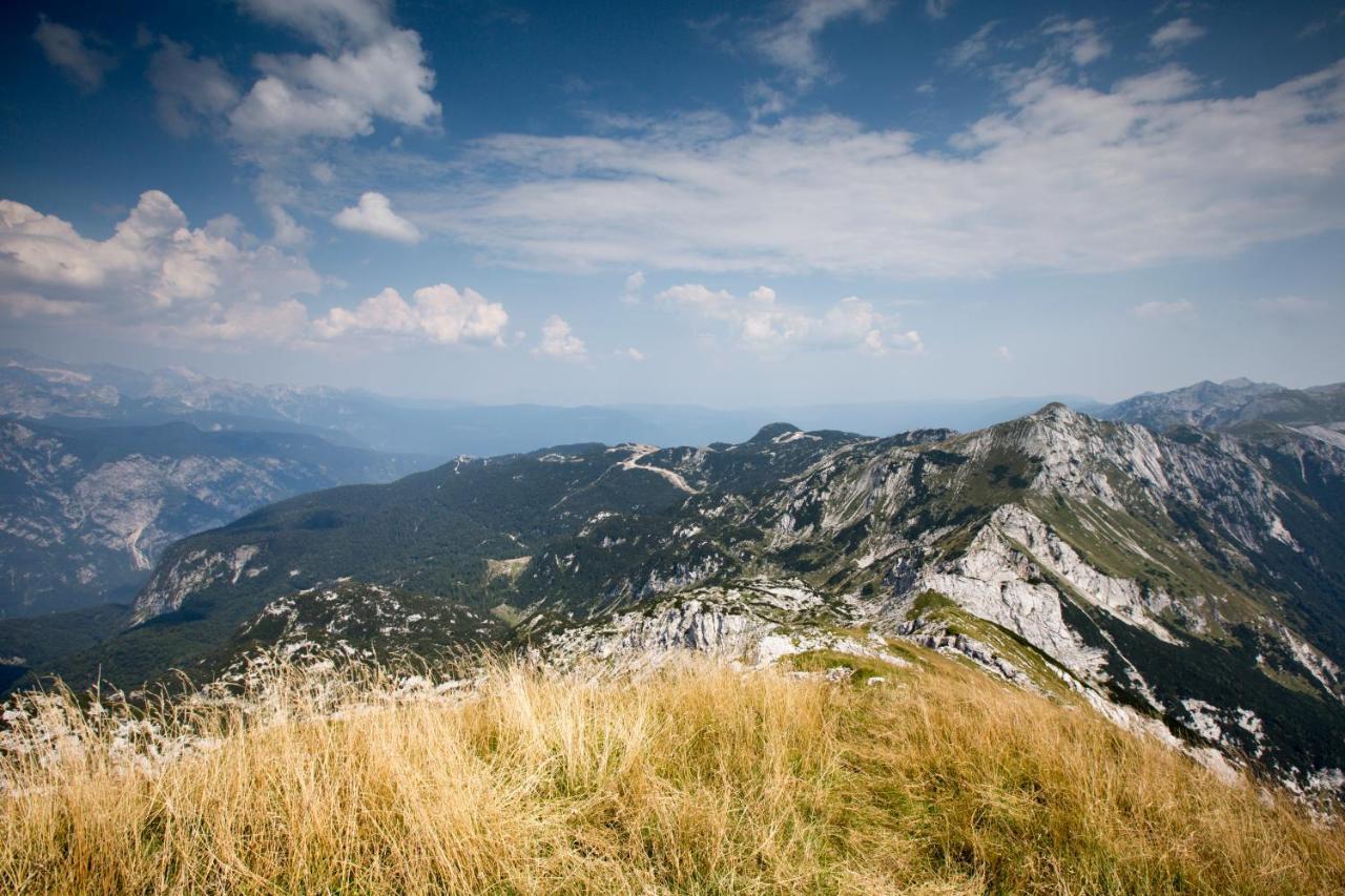 Chalet Pr Dobravc Bohinj Eksteriør billede