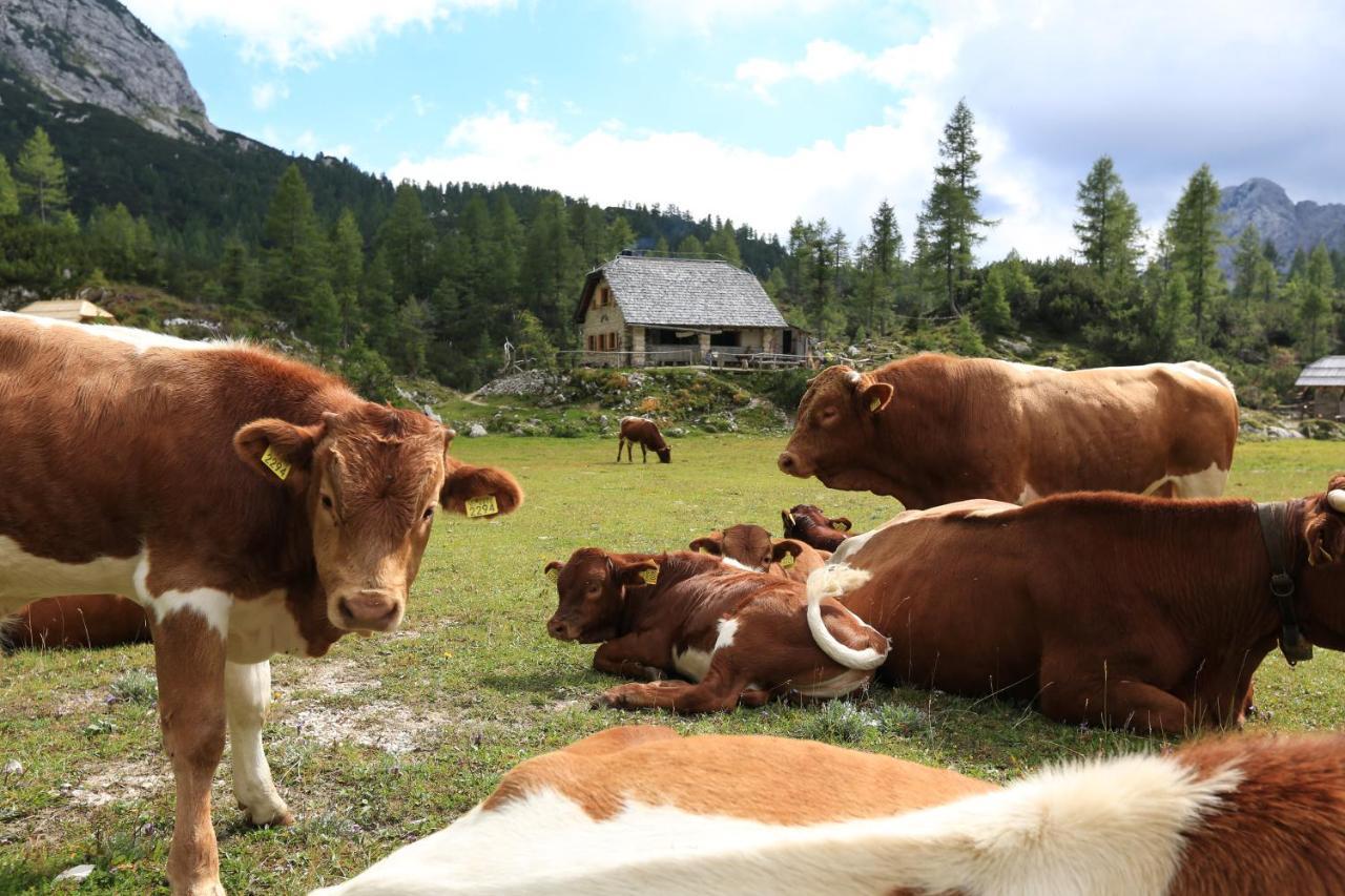 Chalet Pr Dobravc Bohinj Eksteriør billede